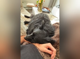 Besuche Daisy in 04157 Leipzig