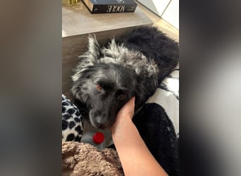 Besuche Daisy in 04157 Leipzig