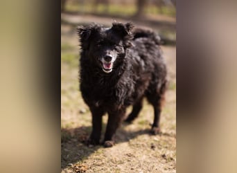 Lola ❤️ lebhafte, schlaue Schmusemaus!