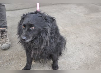 Besuche Daisy in 04157 Leipzig