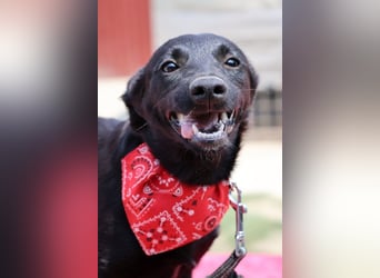 Zarte ♥Ara♥ sucht Vertrauen & Liebe