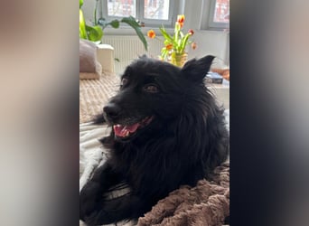 Besuche Daisy in 04157 Leipzig