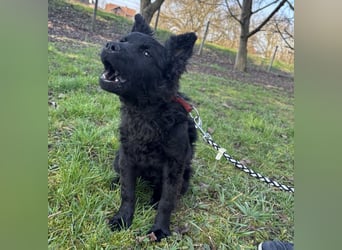 Marmolada eine kleine Rakete