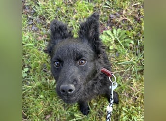 Marmolada eine kleine Rakete