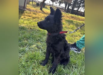 Marmolada eine kleine Rakete