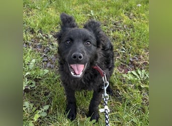 Marmolada eine kleine Rakete