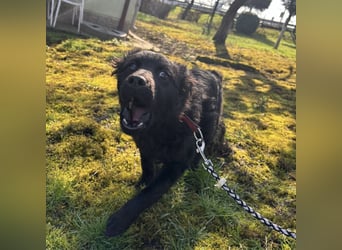 Marmolada eine kleine Rakete