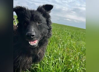 Frida eine Menschen-Liebende