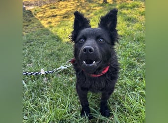 Marmolada eine kleine Rakete