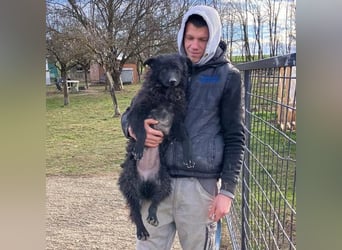 Frida eine Menschen-Liebende