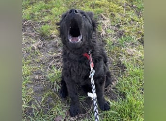 Marmolada eine kleine Rakete