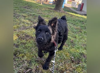 Marmolada eine kleine Rakete