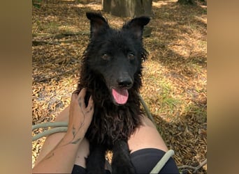 Frida eine Menschen-Liebende