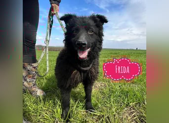 Frida eine Menschen-Liebende