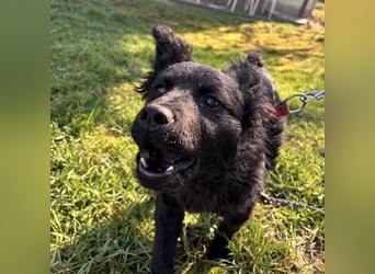 Marmolada eine kleine Rakete