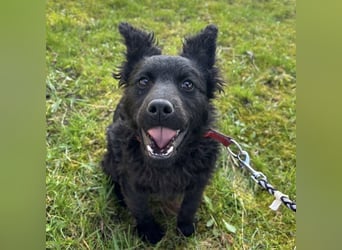 Marmolada eine kleine Rakete