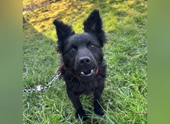 Marmolada eine kleine Rakete