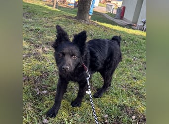 Marmolada eine kleine Rakete