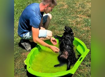 Frida eine Menschen-Liebende