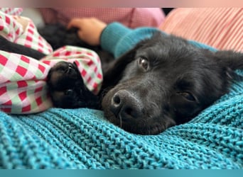 Đina ❤️ wartet in 21755 Hechthausen auf dich