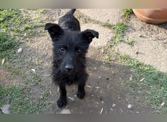 Energiebündel Vinka