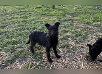 Energiebündel Vinka