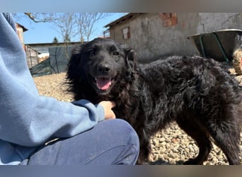 menschenbezogene Sofija