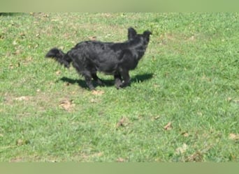 menschenbezogener Otto