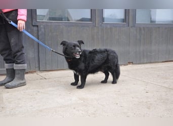 menschenbezogener Otto