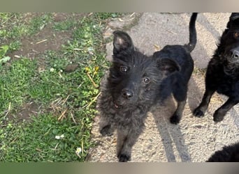 Energiebündel Vinka