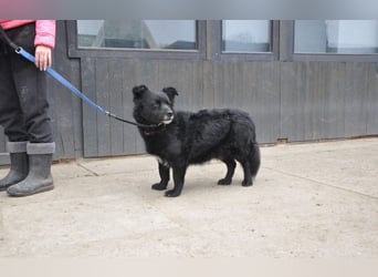 menschenbezogener Otto