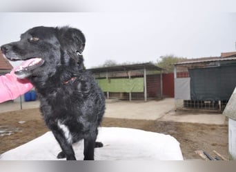 menschenbezogener Otto