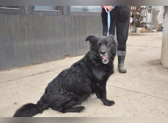 menschenbezogener Otto