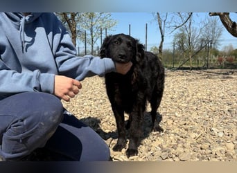 menschenbezogene Sofija