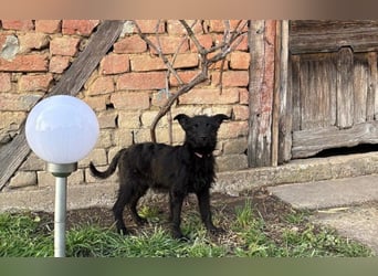 Energiebündel Vinka