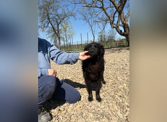 menschenbezogene Sofija