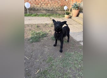 Energiebündel Vinka