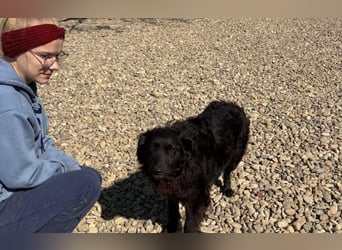 menschenbezogene Sofija