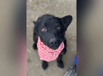 Layla ❤️ sanfte & super liebe junge Maus