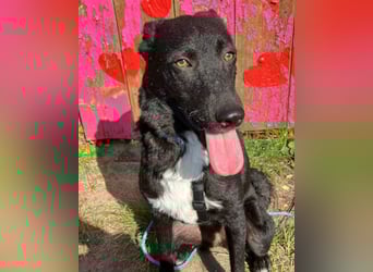 Elsie ❤️ wartet in 09648 Mittweida