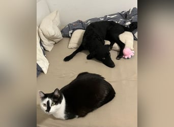 Elsie ❤️ wartet in 09648 Mittweida