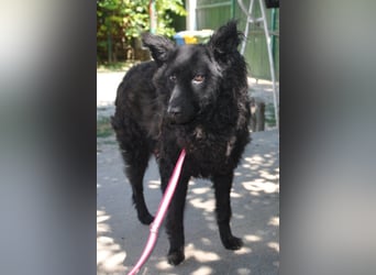 Juliška ❤ mit sanftem und zärtlichem Wesen