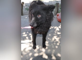 Juliška ❤ mit sanftem und zärtlichem Wesen