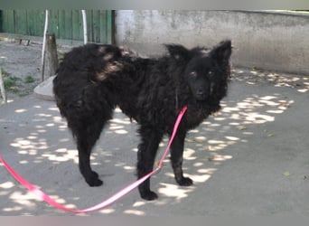 Juliška ❤ mit sanftem und zärtlichem Wesen