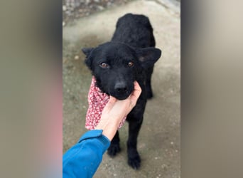 Layla ❤️ sanfte & super liebe junge Maus