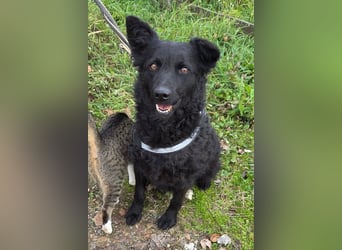 Fellschatz Milly liebt auch Katzen