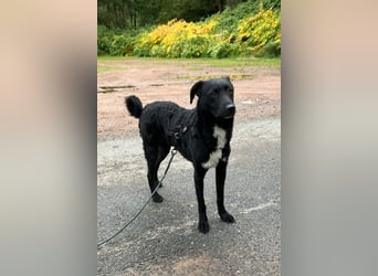 Elsie ❤️ wartet in 09648 Mittweida Elsie ❤️ wartet in 09648 Mittweida