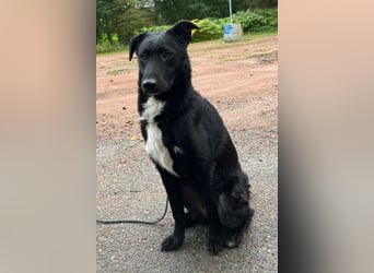 Elsie ❤️ wartet in 09648 Mittweida Elsie ❤️ wartet in 09648 Mittweida