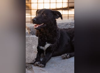 Vinn ❤️ schmusiger, süßer Bub sucht Liebe