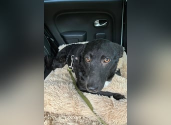 Elsie ❤️ wartet in 09648 Mittweida